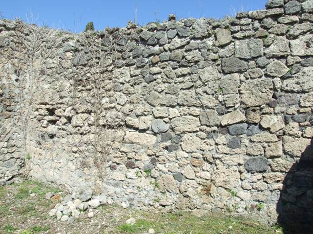 I.2.16 Pompeii.  March 2009. Room 2. East wall.