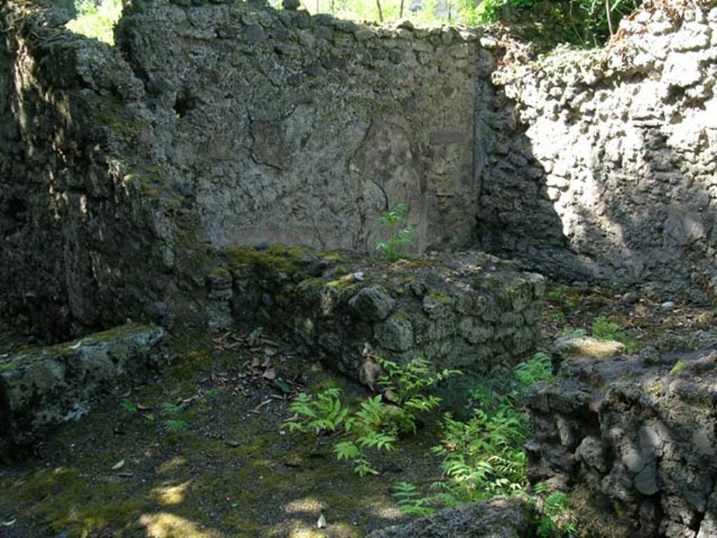 I.2.21 Pompeii. June 2006. Looking across bar towards south wall. Photo courtesy of Nicolas Monteix.