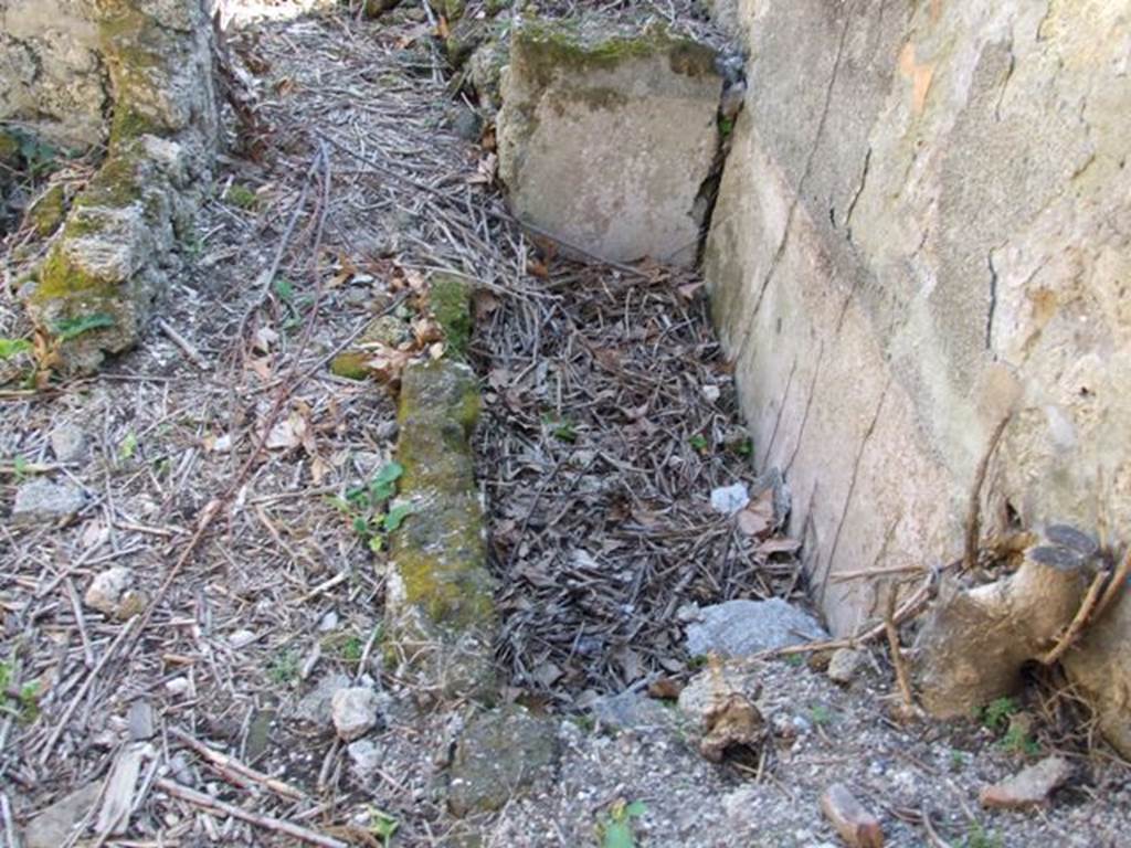 I.2.22 Pompeii. March 2009. Room 2, looking south. Remains of water tank against west wall in small corridor leading to the kitchen.
