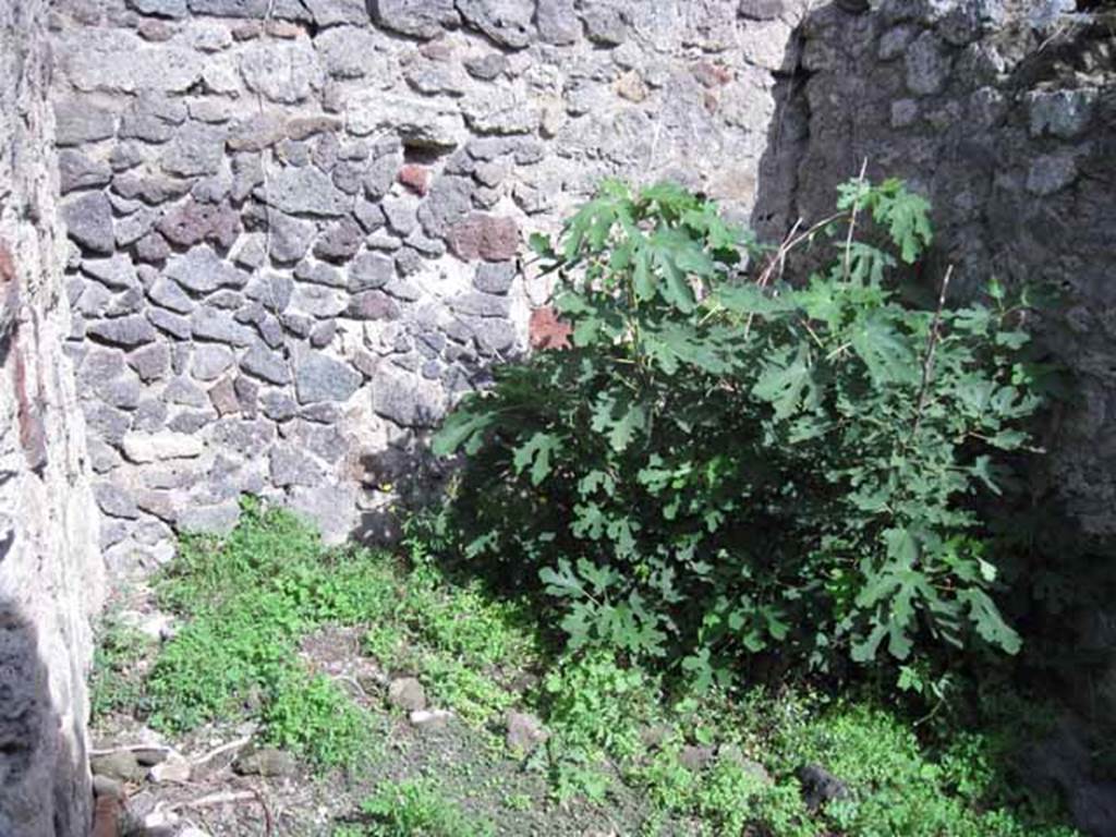 I.2.22 Pompeii. September 2010. Room 3, east wall of kitchen. Photo courtesy of Drew Baker.