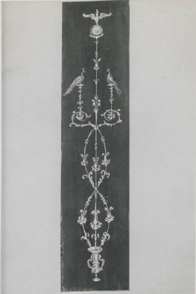 10325-Warscher-Codex-173-copy