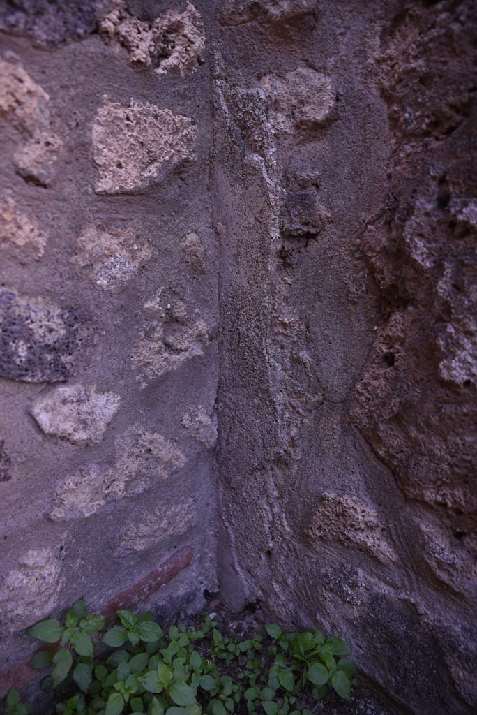 I.4.25/I.4.5 Pompeii. October 2019. Small room 5, detail from north wall in north-west corner.
Foto Tobias Busen, ERC Grant 681269 DCOR.
