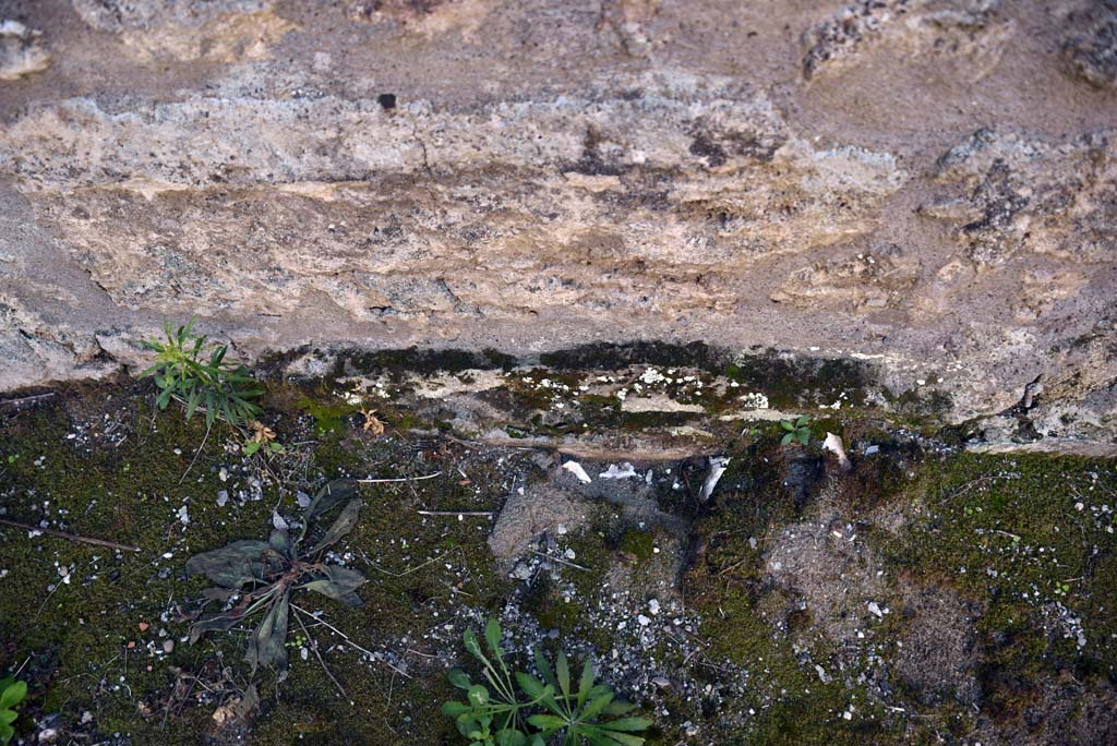 I.4.25/1.4.5 Pompeii. October 2019. Cubiculum 8, detail from centre of lower south wall. 
Foto Tobias Busen, ERC Grant 681269 DCOR.
