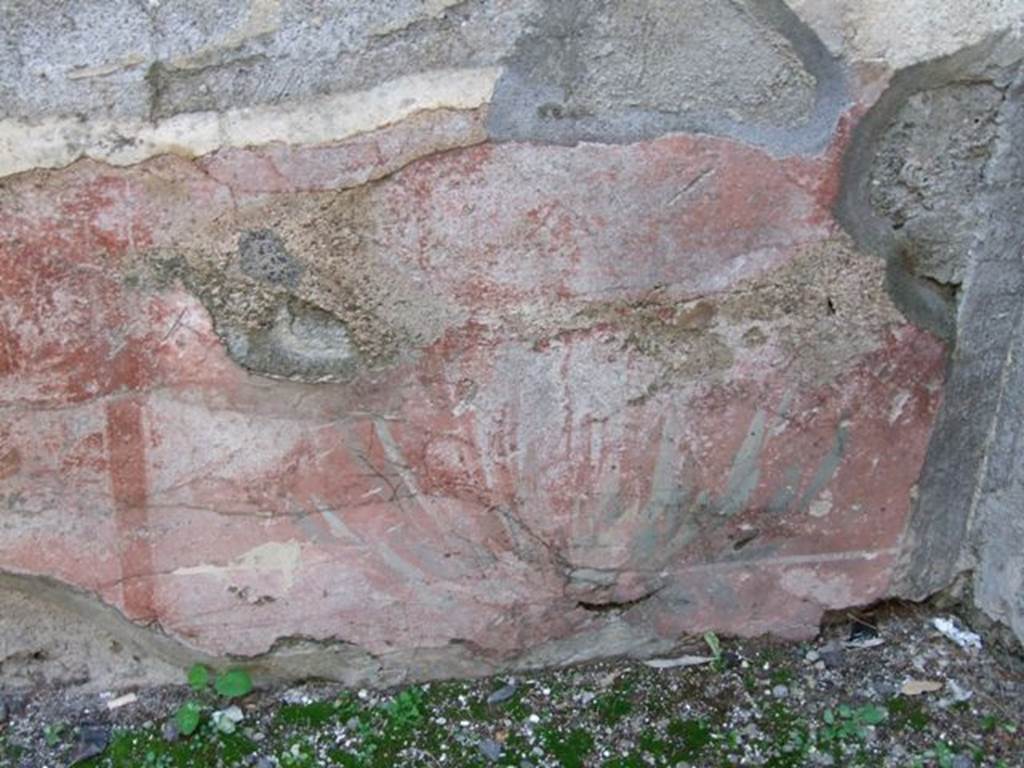 I.4.25 Pompeii. December 2007.
Room 50, detail of painted red zoccolo with outline of painted plant on west wall.