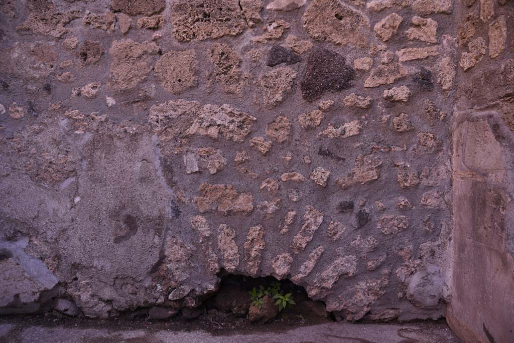 I.4.25 Pompeii. October 2019. Room 34, detail from east wall.
Foto Tobias Busen, ERC Grant 681269 DÉCOR.
