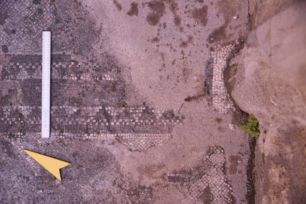 I.4.25 Pompeii. October 2019. Room 34, detail of flooring near south wall, with detail of flooring separating alcove, across centre.
Foto Tobias Busen, ERC Grant 681269 DÉCOR.
