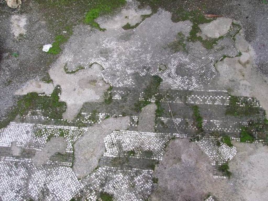 I.4.25 Pompeii. December 2007. Room 34, remains of mosaic floor in cubiculum on east side of lower peristyle. 