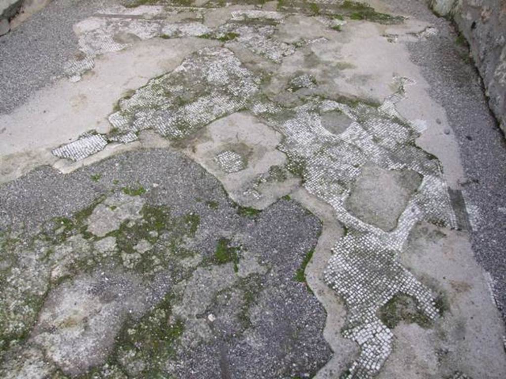 I.4.25 Pompeii. December 2007. Room 34, remains of mosaic floor in cubiculum on east side of lower peristyle. 