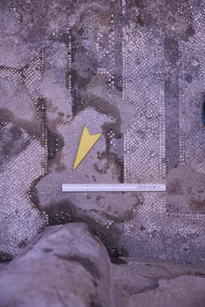 I.4.25 Pompeii. October 2019. 
Room 34, detail of flooring near north wall, with detail of flooring separating alcove, in centre.
Foto Tobias Busen, ERC Grant 681269 DÉCOR.
