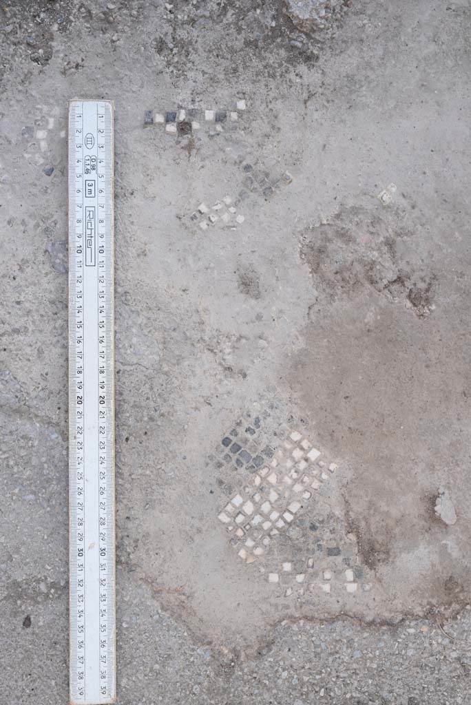 I.4.5 Pompeii. October 2019. 
Room 20/19, detail of remaining mosaic flooring in centre of doorway threshold.
Foto Tobias Busen, ERC Grant 681269 DÉCOR.
