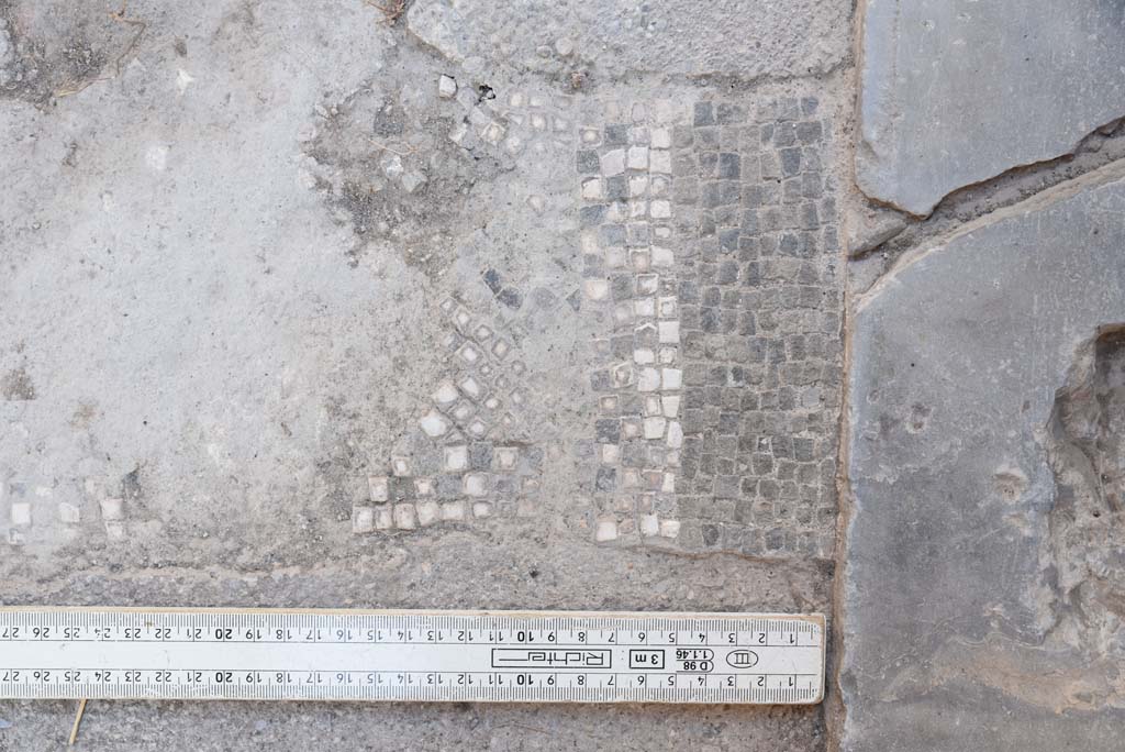 I.4.25 Pompeii. October 2019. Room 20/19, detail of mosaic on east side of doorway threshold of antechamber into room 19.
Foto Tobias Busen, ERC Grant 681269 DÉCOR.
