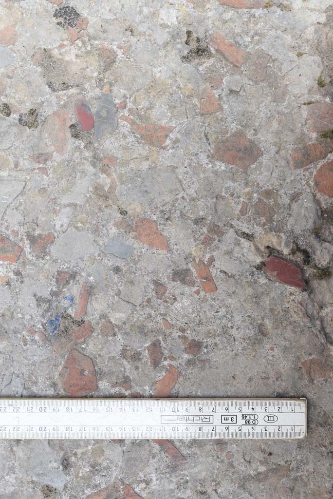 I.4.5 Pompeii. September 2020. Room 20, flooring detail in cubiculum. 
Foto Tobias Busen, ERC Grant 681269 DÉCOR.
