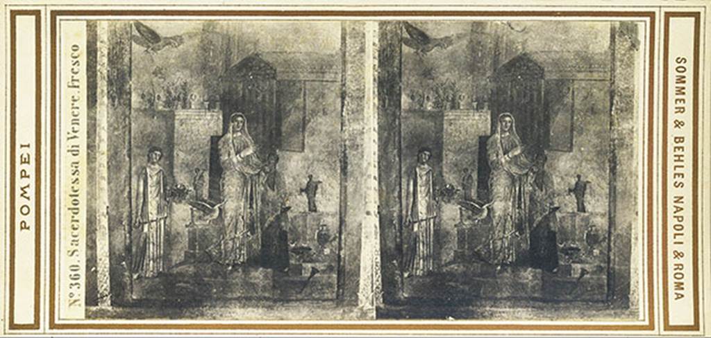 I.4.25 Pompeii. Stereoview by Sommer and Behles, c.1860-1870, showing wall painting from the south wall of room 20.
The stereoview is titled Sacerdotessa di Venere – Priestess of Venus.
According to PPM it represents Leda and the Swan.
Now in Naples Archaeological Museum. Inventory number 120034.
Photo courtesy of Rick Bauer.
According to PPM, the painting depicts the Swan (Jupiter) at the moment in which, frightened by the Eagle, it is about to take refuge in the garment of Nemesis who is making a sacrifice, assisted by two servants. The swan perched on the altar, stretches its neck toward Nemesis, whose head is veiled and who is wearing matronly garments, who will be substituted by Leda who will conceive Helen [of Troy] and the Dioscuri, [Castor and Pollux]. The female statue by the swan holds a Baetylus (also Bethel, or Betyl) a sacred stone, which was supposedly endowed with life. The female statue on the right is holding a plate and a dove, the symbols of Venus, as is the underlying basin with two doves.
The architecture visible in the painting has many points in common with the Doric temple in the Triangular Forum.
See Carratelli, G. P.et al, 1990-2003. Pompei: Pitture e Mosaici: Vol. I.  Roma: Istituto della enciclopedia italian, p. 150-2. 

