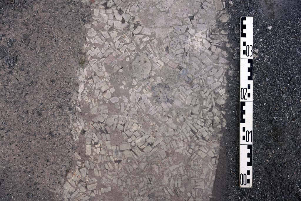 I.4.25 Pompeii. October 2019. Unnumbered room next to room 30, (? room 66, cubiculum). Detail of flooring.
Foto Tobias Busen, ERC Grant 681269 DCOR.
