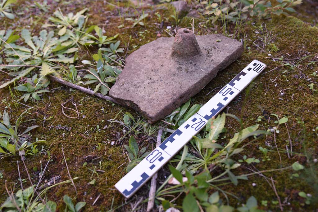 I.4.25/I.4.5 Pompeii. October 2019. Calidarium 41, detail of Tegula Mammata.
Foto Tobias Busen, ERC Grant 681269 DCOR.
