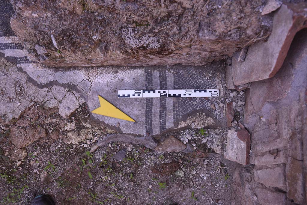 I.4.25/I.4.5 Pompeii. October 2019. Calidarium 41, detail of mosaic floor.
Foto Tobias Busen, ERC Grant 681269 DCOR.
