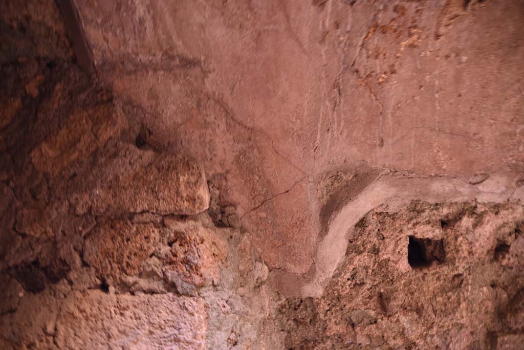 I.4.25/I.4.5 Pompeii. October 2019. Unnumbered corridor/room, detail from west wall of second vaulted area. 
Foto Tobias Busen, ERC Grant 681269 DCOR.


