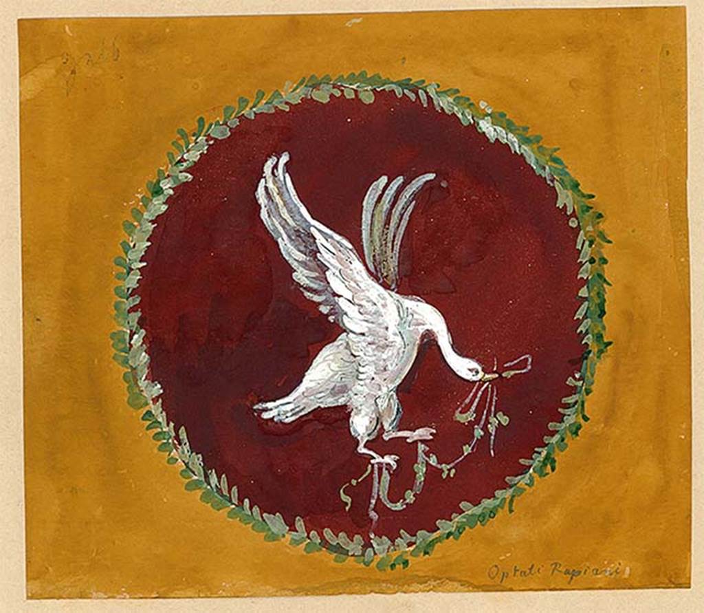 I.4.25 Pompeii. Painting of swan in flight from upper peristyle 56, north wall, east end. 
This is the first panel from the west in the Mau painting above. The artist is unknown.
DAIR 83.15. Photo  Deutsches Archologisches Institut, Abteilung Rom, Arkiv. 
See Carratelli, G. P., 1990-2003. Pompei: Pitture e Mosaici: Vol. 1. Roma: Istituto della enciclopedia italiana, p. 164.
