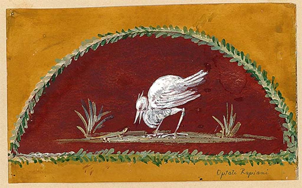 I.4.25 Pompeii. Painting of heron and lizard from upper peristyle 56, north wall, east end. 
This is from the third panel from the west in the Mau painting above. The artist is unknown.
DAIR 83.15. Photo  Deutsches Archologisches Institut, Abteilung Rom, Arkiv. 
See Carratelli, G. P., 1990-2003. Pompei: Pitture e Mosaici: Vol. 1. Roma: Istituto della enciclopedia italiana, p. 164.

