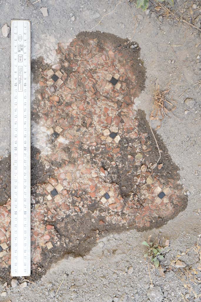 I.4.25 Pompeii. September 2020. Upper Peristyle 56, detail of cleaned flooring.
Foto Tobias Busen, ERC Grant 681269 DCOR
