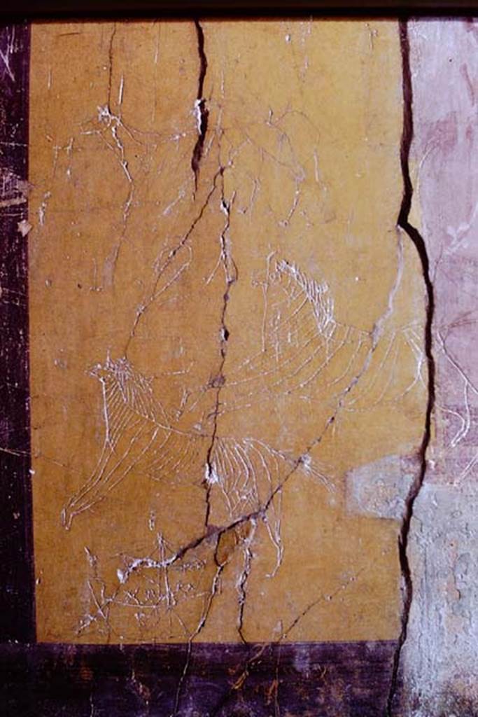 I.6.2 Pompeii, 1968. Graffiti of amphitheatre hunt and ship. from east end of north wall. Photo by Stanley A. Jashemski.
Source: The Wilhelmina and Stanley A. Jashemski archive in the University of Maryland Library, Special Collections (See collection page) and made available under the Creative Commons Attribution-Non Commercial License v.4. See Licence and use details.
J68f0540