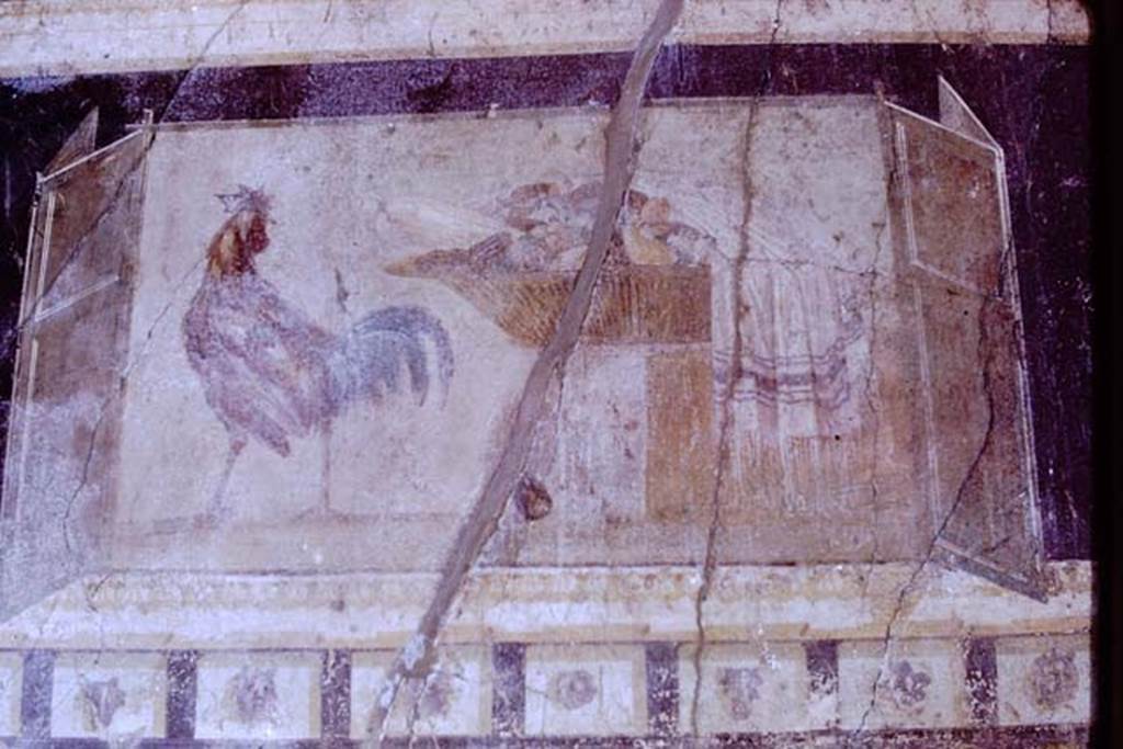 I.6.2 Pompeii, 1968. West end of south wall of oecus, wall painting of still-life with cock, basket of fruit and a towel.Photo by Stanley A. Jashemski.
Source: The Wilhelmina and Stanley A. Jashemski archive in the University of Maryland Library, Special Collections (See collection page) and made available under the Creative Commons Attribution-Non Commercial License v.4. See Licence and use details.
J68f0528