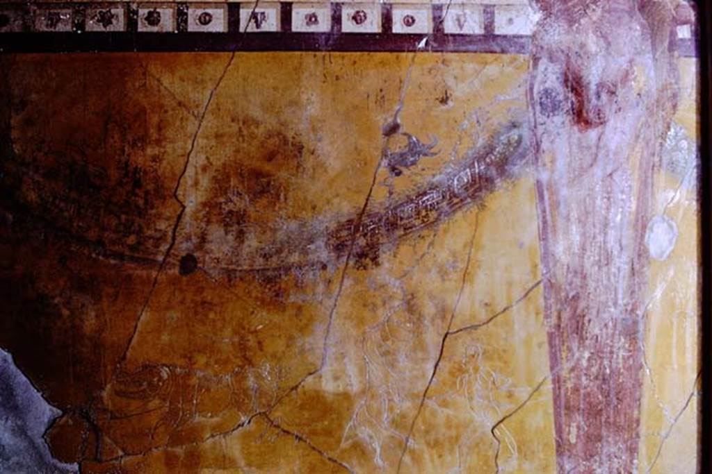 I.6.2 Pompeii, 1968. South wall of oecus, with graffiti. Photo by Stanley A. Jashemski.
Source: The Wilhelmina and Stanley A. Jashemski archive in the University of Maryland Library, Special Collections (See collection page) and made available under the Creative Commons Attribution-Non Commercial License v.4. See Licence and use details.
J68f0532