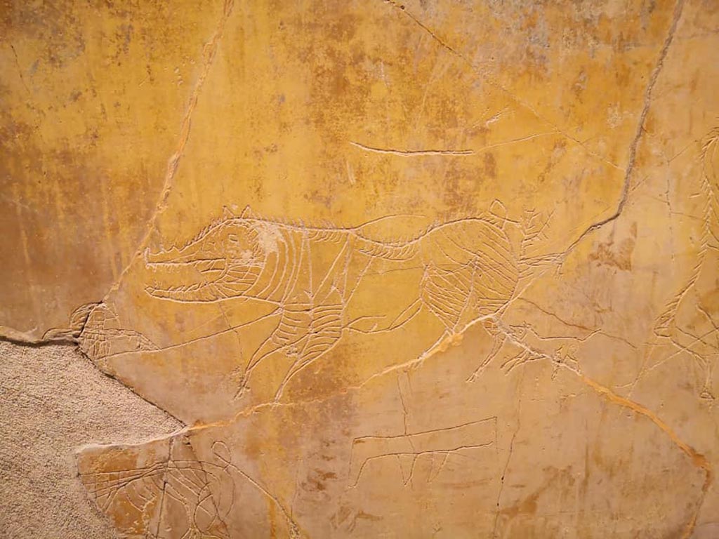 I.6.2 Pompeii, December 2019. Detail from graffiti on south wall of oecus.
On display in exhibition “Pompei e Santorini” in Rome, 2019. Photo courtesy of Giuseppe Ciaramella.