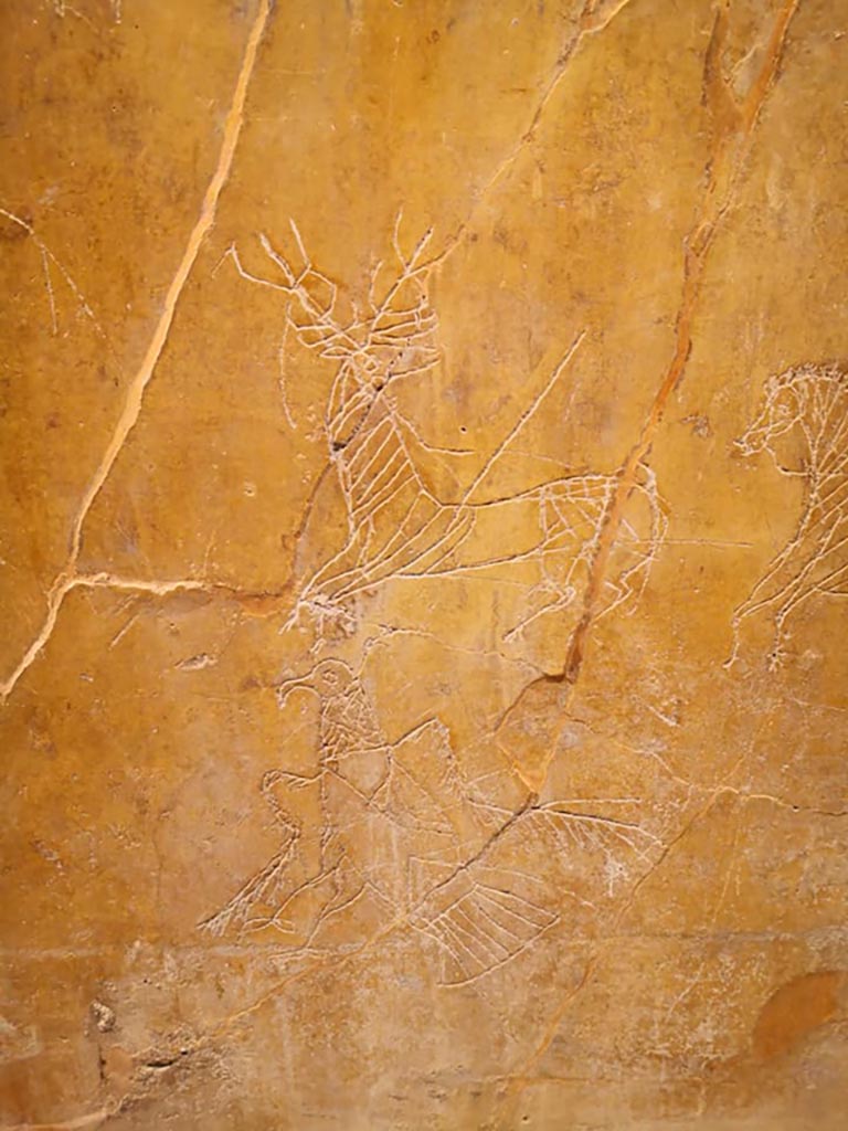 I.6.2 Pompeii, December 2019. Detail of graffiti on south wall of oecus.
On display in exhibition “Pompei e Santorini” in Rome, 2019. Photo courtesy of Giuseppe Ciaramella.