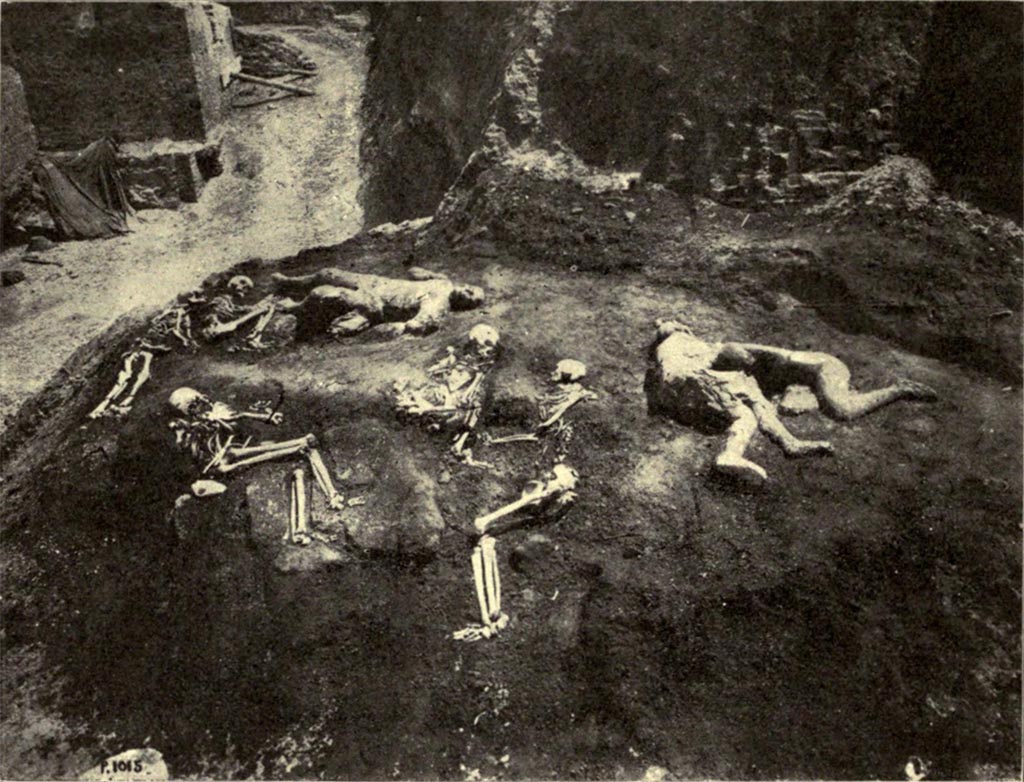 I.6.2 Pompeii. Skeletons and 3 plaster casts excavated from above the garden area in June and July 1914.
See Notizie degli Scavi di Antichità, 1914, p. 260, fig. 4.