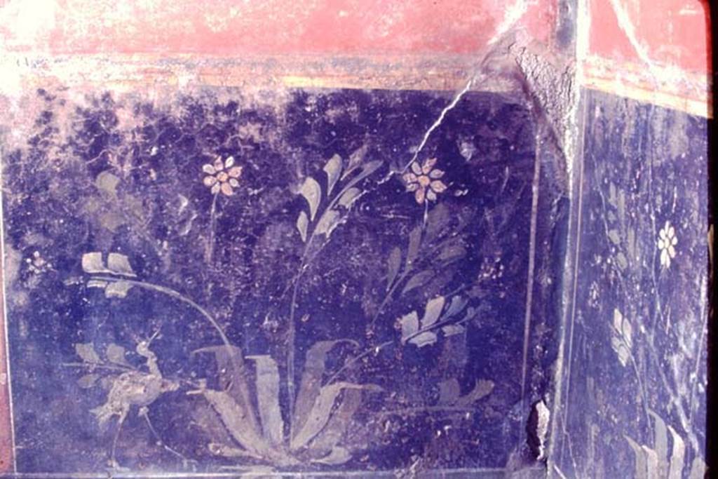 I.6.4 Pompeii. 1968. Room 5, detail of black zoccolo with painted plant and bird on south wall in south-west corner.
Photo by Stanley A. Jashemski.
Source: The Wilhelmina and Stanley A. Jashemski archive in the University of Maryland Library, Special Collections (See collection page) and made available under the Creative Commons Attribution-Non Commercial License v.4. See Licence and use details.
J68f0457  
