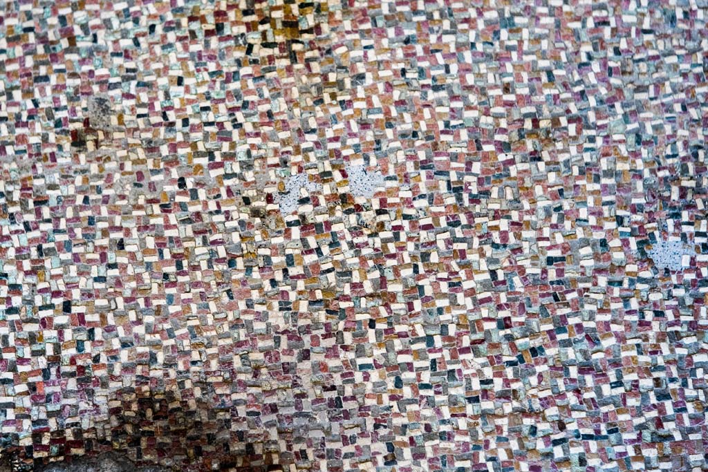 I.6.4 Pompeii. December 2021. Room 5, detail of mosaic floor. Photo courtesy of Johannes Eber.