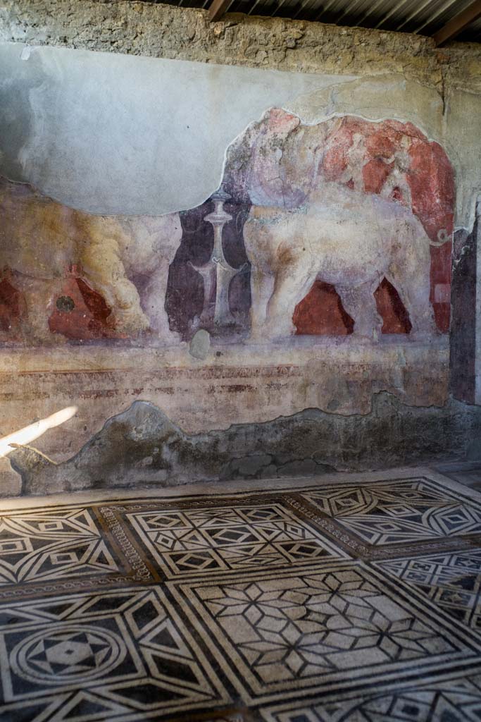 I.6.4 Pompeii. December 2021. Room 11, mosaic floor. Photo courtesy of Johannes Eber.
