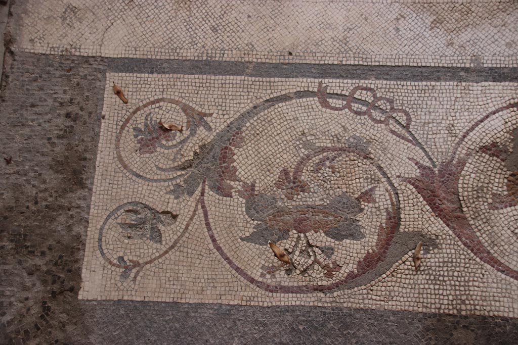 I.6.4 Pompeii. October 2024. Triclinium 11, detail of border edge around mosaic floor. Photo courtesy of Klaus Heese.