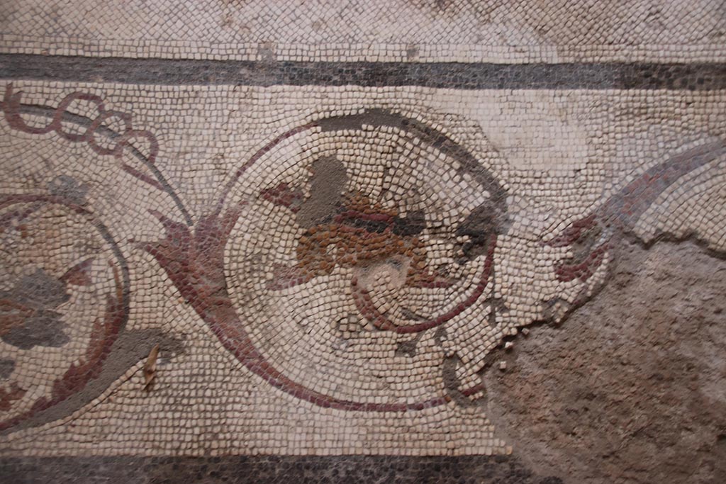 I.6.4 Pompeii. October 2024. Triclinium 11, detail of border edge around mosaic floor. Photo courtesy of Klaus Heese.