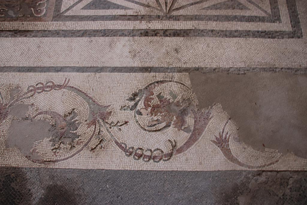 I.6.4 Pompeii. October 2024. Triclinium 11, detail of border edge around mosaic floor. Photo courtesy of Klaus Heese.
