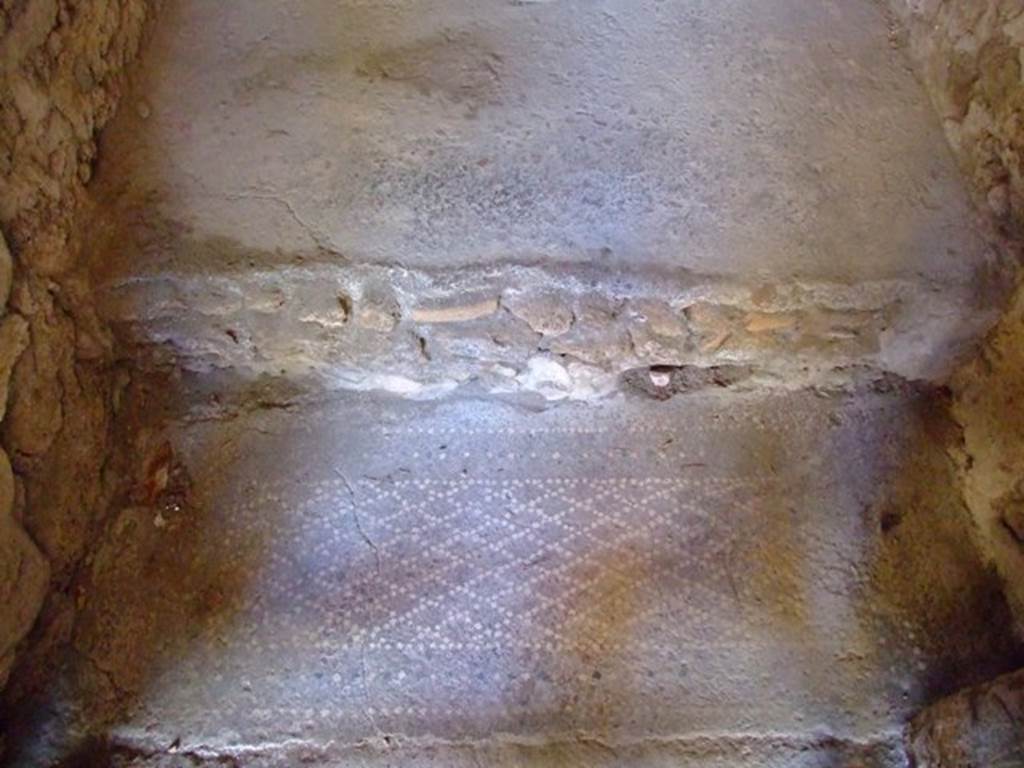 I.6.4 Pompeii.  March 2009. Room 16, Sacellum. Mosaic floor.