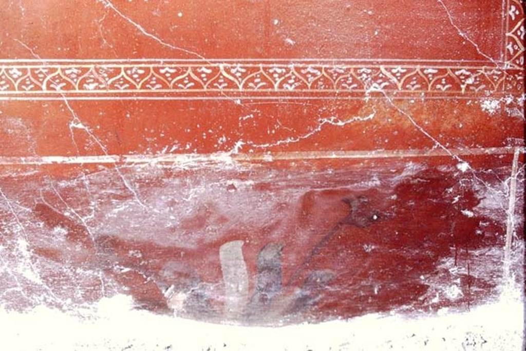 I.6.7 Pompeii, 1968. Detail of painted plant from zoccolo (dado) of room on west side of entrance. 
Photo by Stanley A. Jashemski.  
Source: The Wilhelmina and Stanley A. Jashemski archive in the University of Maryland Library, Special Collections (See collection page) and made available under the Creative Commons Attribution-Non-Commercial License v.4. See Licence and use details.
J68f0649  
