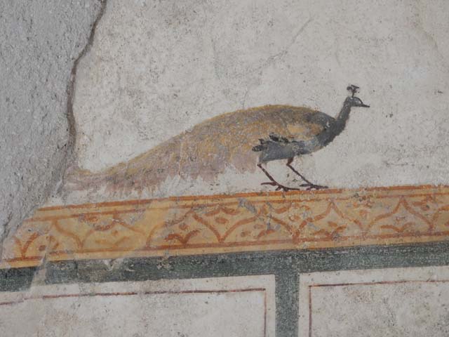 I.6.7 Pompeii. May 2016. Detail of peacock from south end of west wall. Photo courtesy of Buzz Ferebee.
