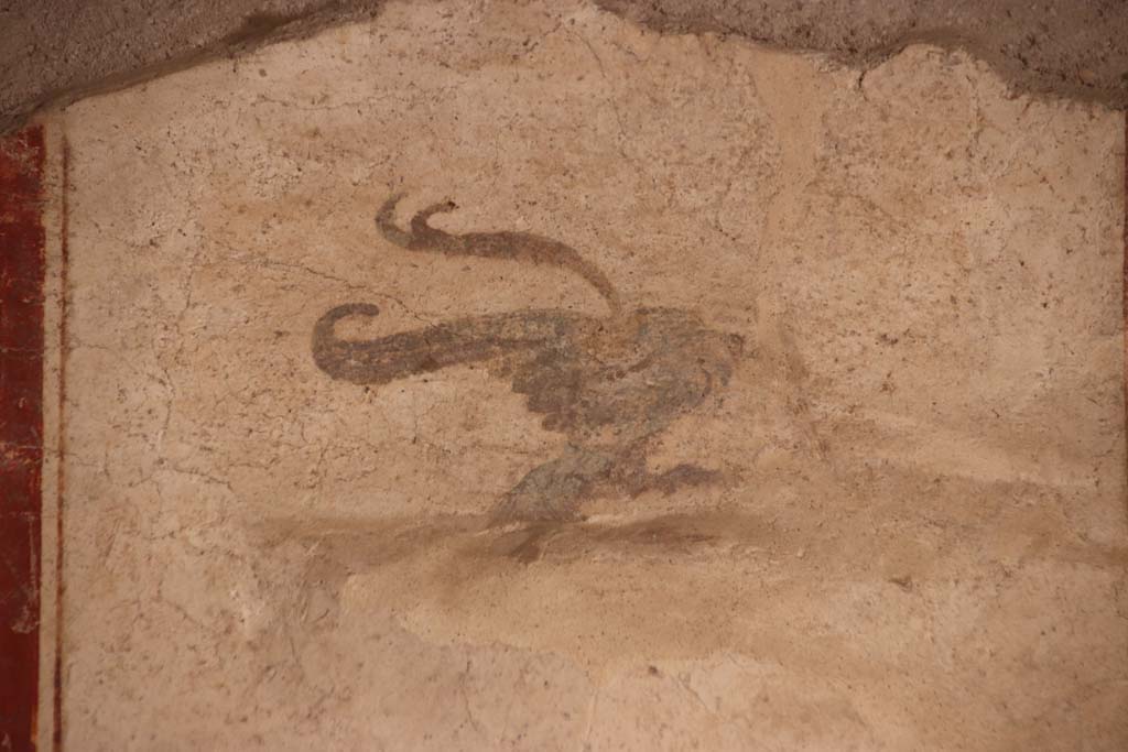 I.6.7 Pompeii. September 2019. Detail from upper area of south end of west wall. Photo courtesy of Klaus Heese. 