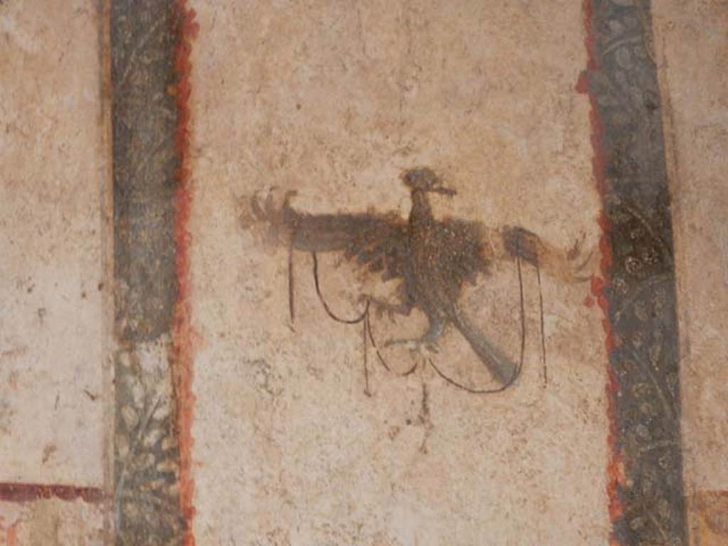 I.6.7 Pompeii. September 2019. Detail of peacock from north end of west wall. Photo courtesy of Klaus Heese.

