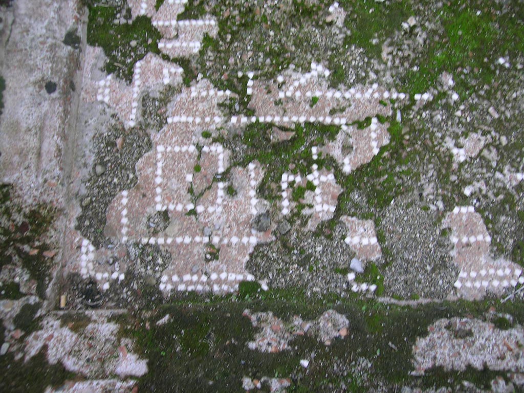 I.6.9 Pompeii. October 2004. Impluvium base, detail of south-east corner. Photo courtesy of Nicolas Monteix.