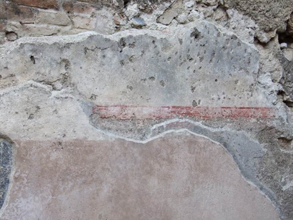 I.6.10 Pompeii. December 2007. Detail of painted plaster on east wall.