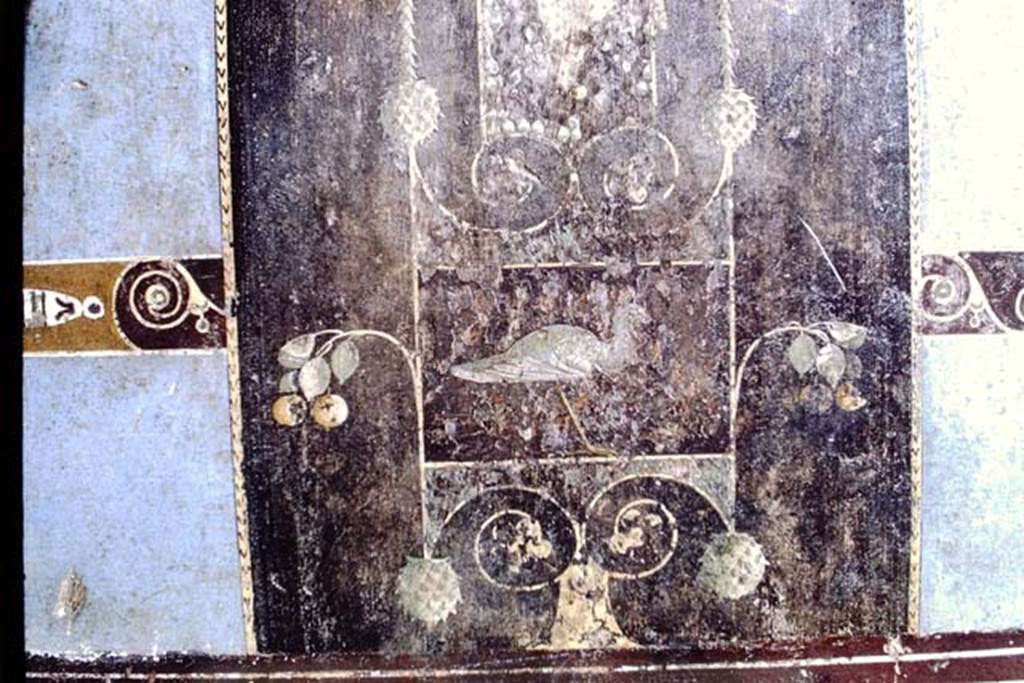 I.6.11 Pompeii, 1968. Detail from painted decoration from east wall in north-east corner of atrium. Photo by Stanley A. Jashemski.
Source: The Wilhelmina and Stanley A. Jashemski archive in the University of Maryland Library, Special Collections (See collection page) and made available under the Creative Commons Attribution-Non Commercial License v.4. See Licence and use details.
J68f0582