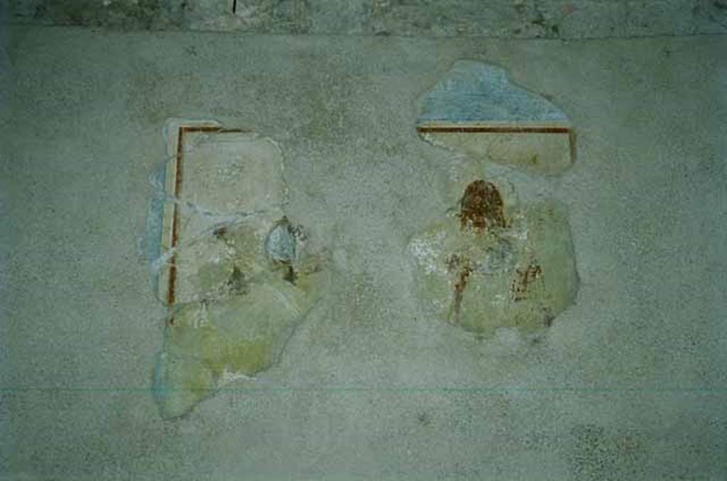 I.6.11 Pompeii. June 2010. Remains of wall painting from south side of the door to the second cubiculum in the east wall of atrium. Photo courtesy of Rick Bauer.