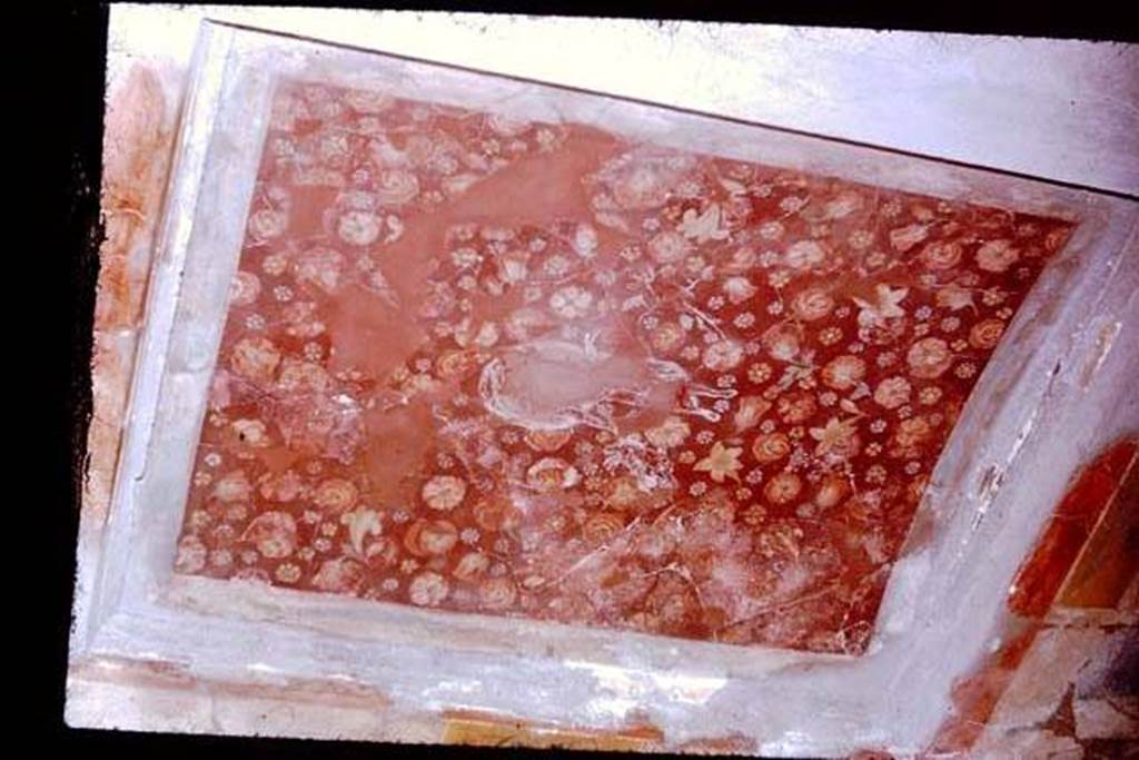 I.6.11 Pompeii. 1968. Decorated ceiling of second cubiculum on east side of atrium. Photo by Stanley A. Jashemski.
Source: The Wilhelmina and Stanley A. Jashemski archive in the University of Maryland Library, Special Collections (See collection page) and made available under the Creative Commons Attribution-Non Commercial License v.4. See Licence and use details.
J68f1766
