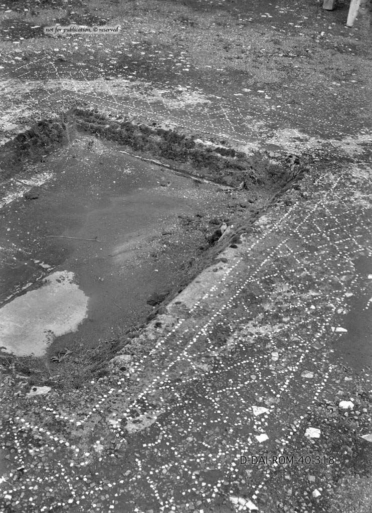 I.6.13 Pompeii. c.1930. Flooring in atrium and impluvium. 
DAIR 40.318. Photo  Deutsches Archologisches Institut, Abteilung Rom, Arkiv.
See Pernice, E.  1938. Pavimente und Figrliche Mosaiken: Die Hellenistische Kunst in Pompeji, Band VI. Berlin: de Gruyter, (p.42, and tav. 11.1 above.)


