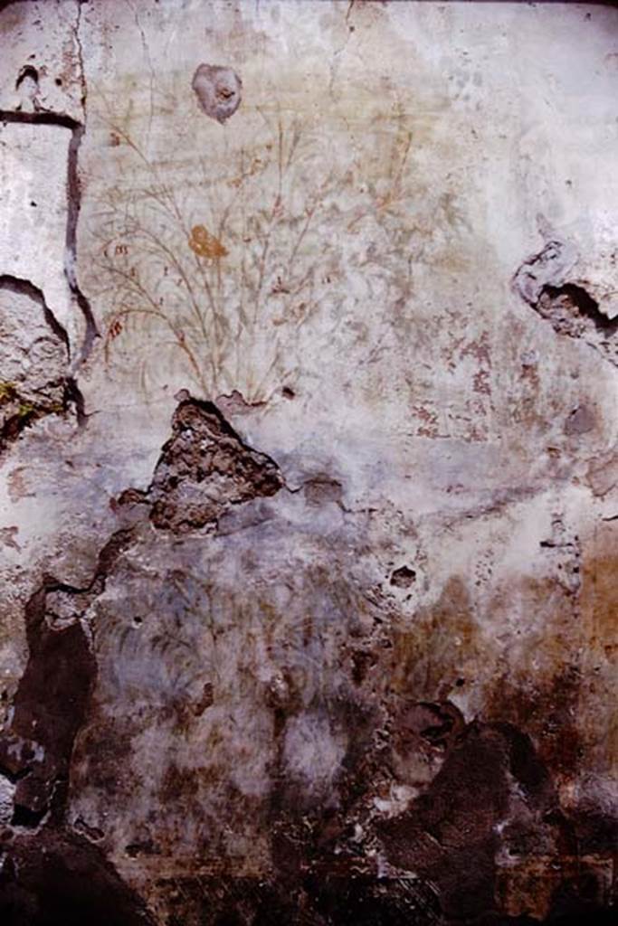 I.6.13 Pompeii. 1964. Detail from west (left) side of panel on north wall. Photo by Stanley A. Jashemski.
Source: The Wilhelmina and Stanley A. Jashemski archive in the University of Maryland Library, Special Collections (See collection page) and made available under the Creative Commons Attribution-Non Commercial License v.4. See Licence and use details.
J64f1205
According to Wilhelmina, on the left can be seen a bush with an owl, and higher and to the right another bird, below it was another bush.
See Jashemski, W. F., 1993. The Gardens of Pompeii, Volume II: Appendices. New York: Caratzas. (p.314-5)
