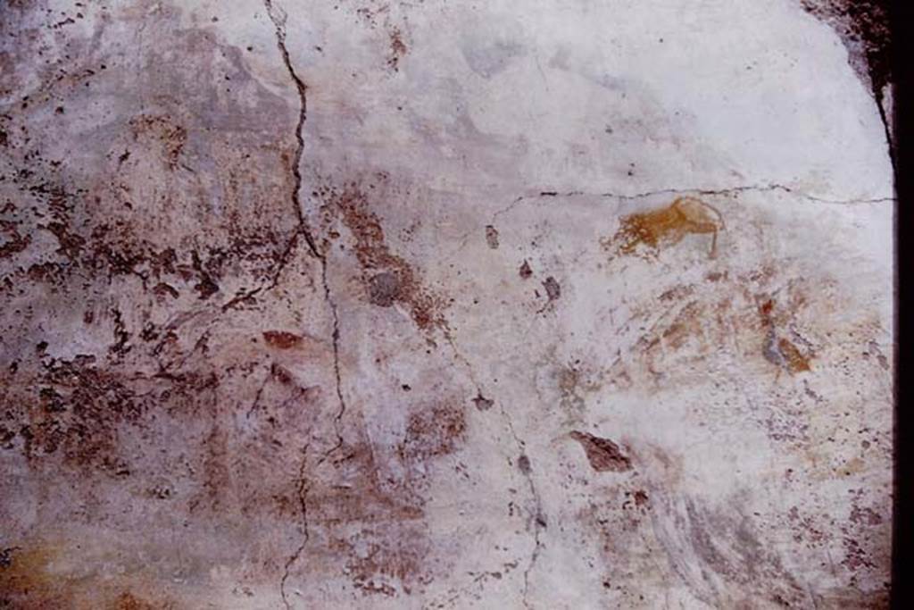 I.6.13 Pompeii. 1964. Detail from north wall. Photo by Stanley A. Jashemski.
Source: The Wilhelmina and Stanley A. Jashemski archive in the University of Maryland Library, Special Collections (See collection page) and made available under the Creative Commons Attribution-Non Commercial License v.4. See Licence and use details.
J64f1203
