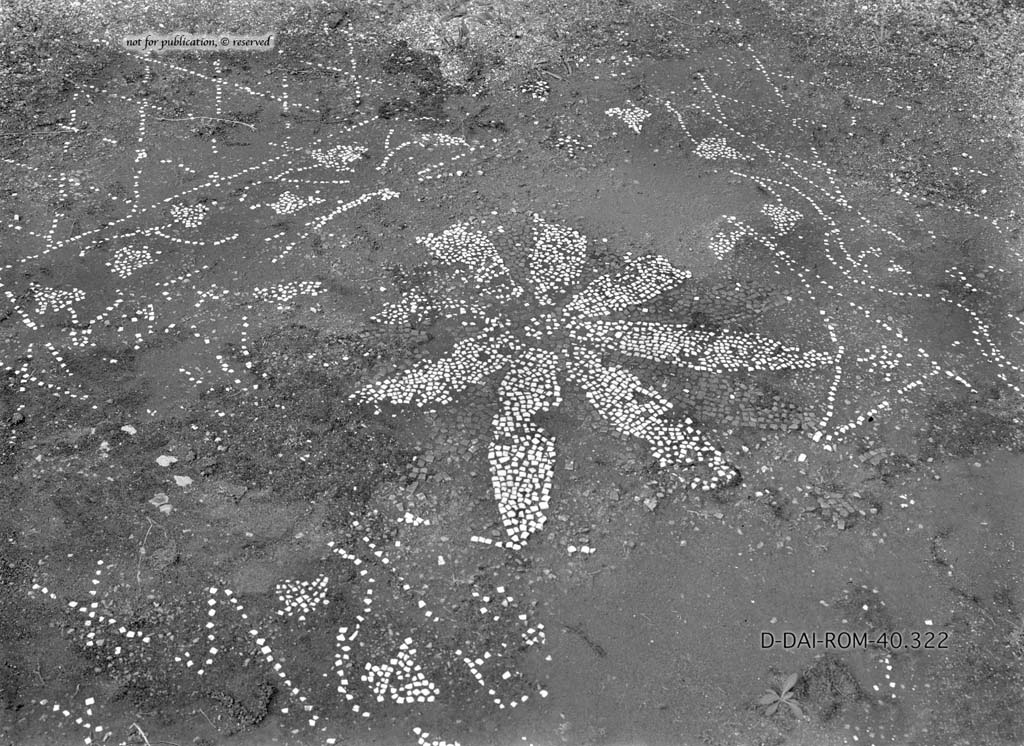 I.6.13 Pompeii. c.1930. Flooring in triclinium 4.  
DAIR 40.322. Photo  Deutsches Archologisches Institut, Abteilung Rom, Arkiv.
See Pernice, E.  1938. Pavimente und Figrliche Mosaiken: Die Hellenistische Kunst in Pompeji, Band VI. Berlin: de Gruyter, (p.42, and tav. 11.5 above.)

